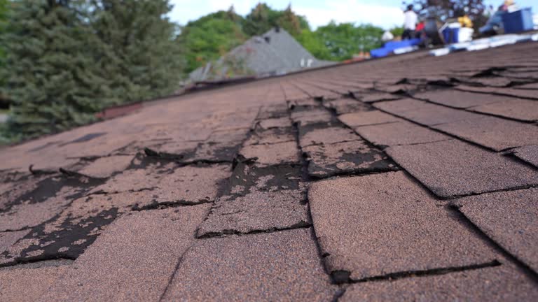 Professional Roof Repair & Installaion in Grove City, PA